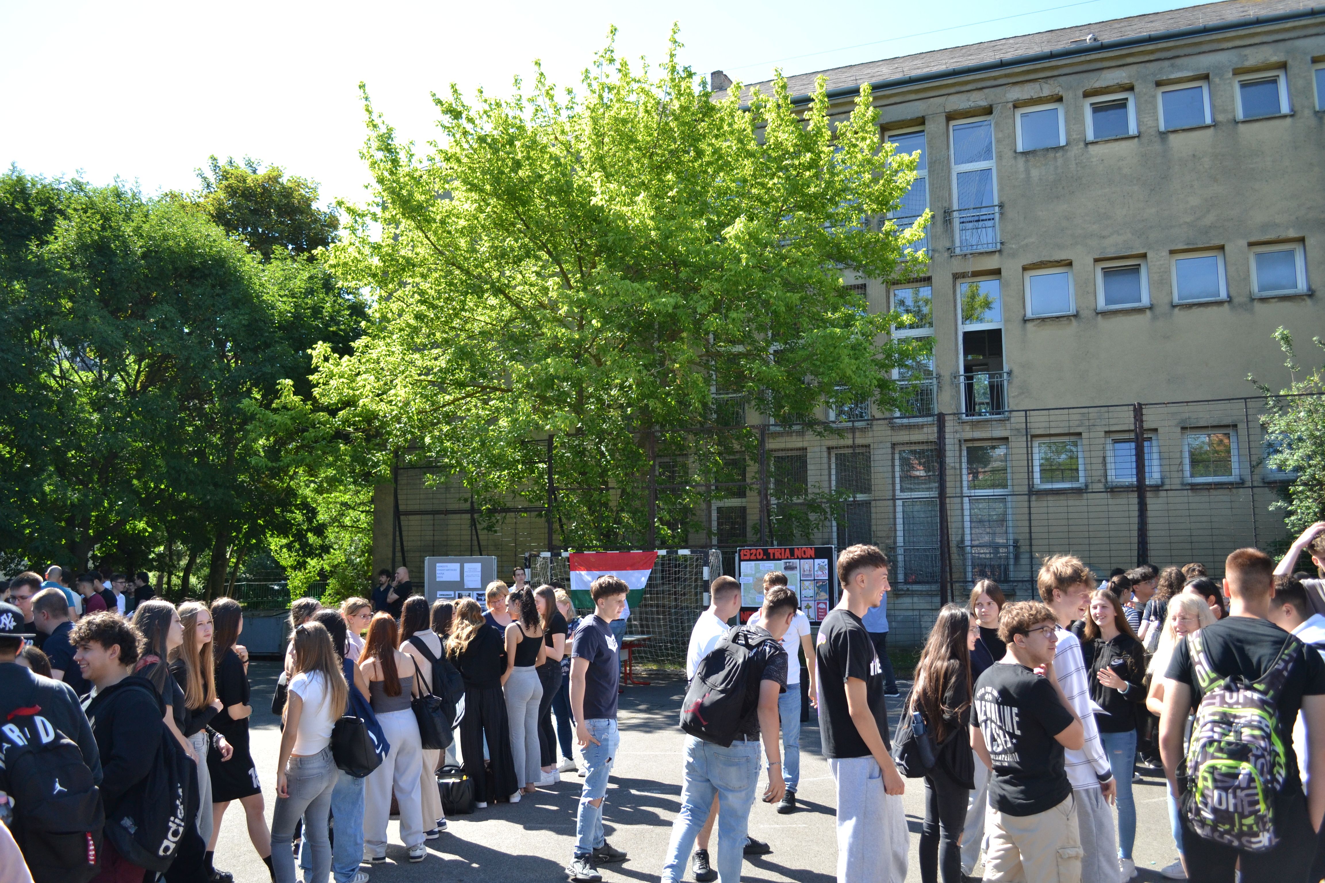 DSC_0019.JPG